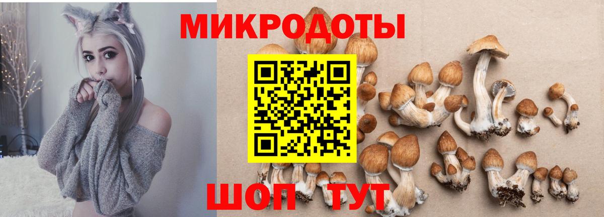 Псилоцибиновые грибы GOLDEN TEACHER  Вход с VPN  Стрежевой  Псилоцибиновые грибы ЛСД 